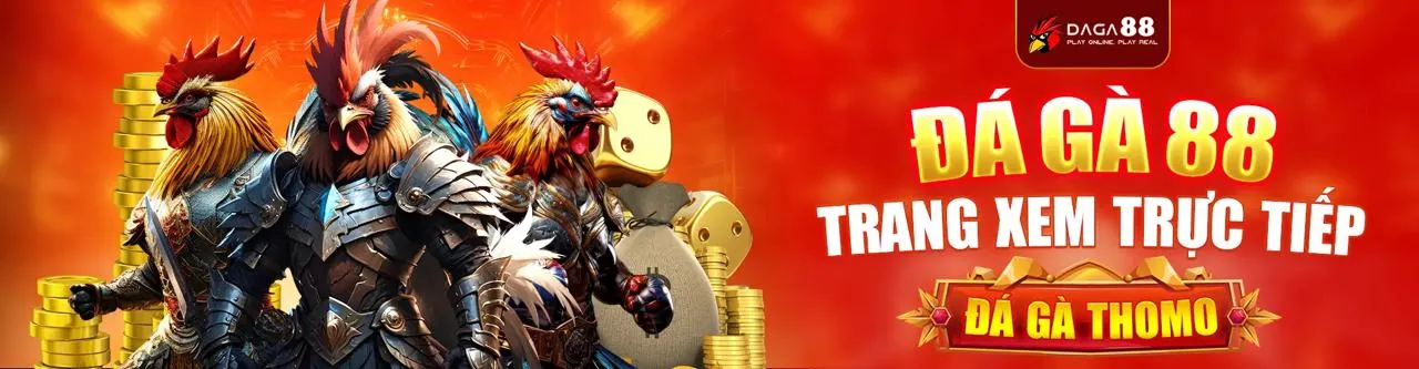 Một trận đấu gà kịch tính tại JUN882